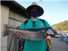 Victor Gonzalez of Vista, 6.00 pound trout caught 4-2-21 using a red crappie jig near crappie rock.