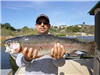 Victor Ortiz of Vista, 6.45 pound trout caught 3-6-14 using a nightcrawler in Willow Cove.