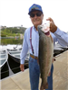Wayne Ring of Carlsbad, 5.80 pound trout caught 4-18-14 using a nightcrawler on Senior Shoreline.