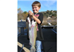 7-year-old Kayden Woods of Oceanside, 5.45 pound Trout caught 12-29-11 on Green Powerworm Powerbait 