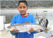 10-year-old Francisco Enriquez, 6.31 pound Trout caught 1-17-10 on Powerbait in Willow Cove