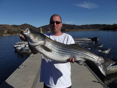 Mac Weakly of Carlsbad, 24 Pounds Striped Bass (Lake Record 12-28-12) caught on a Jig near Trout Cove