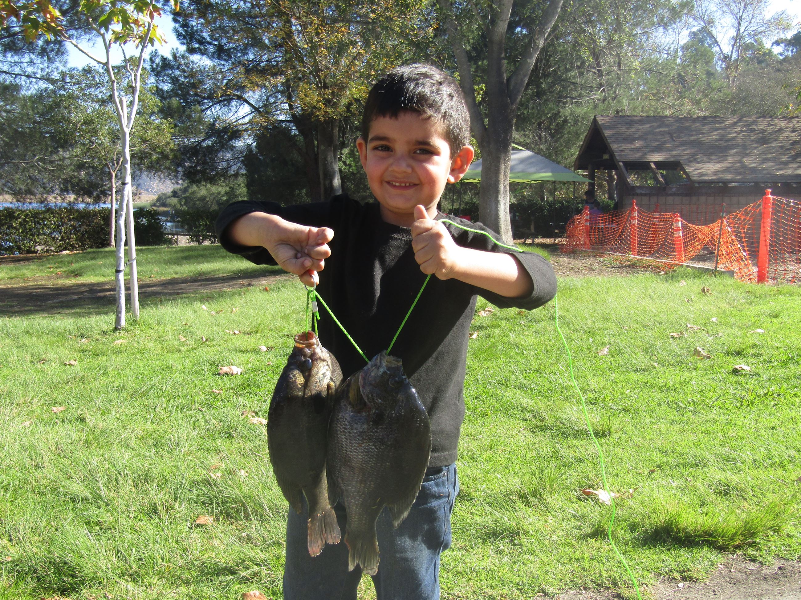 Nate Gushwa (5 years old) with a just shy of a 3 pound stringer of heavy bluegills caught on nightcra