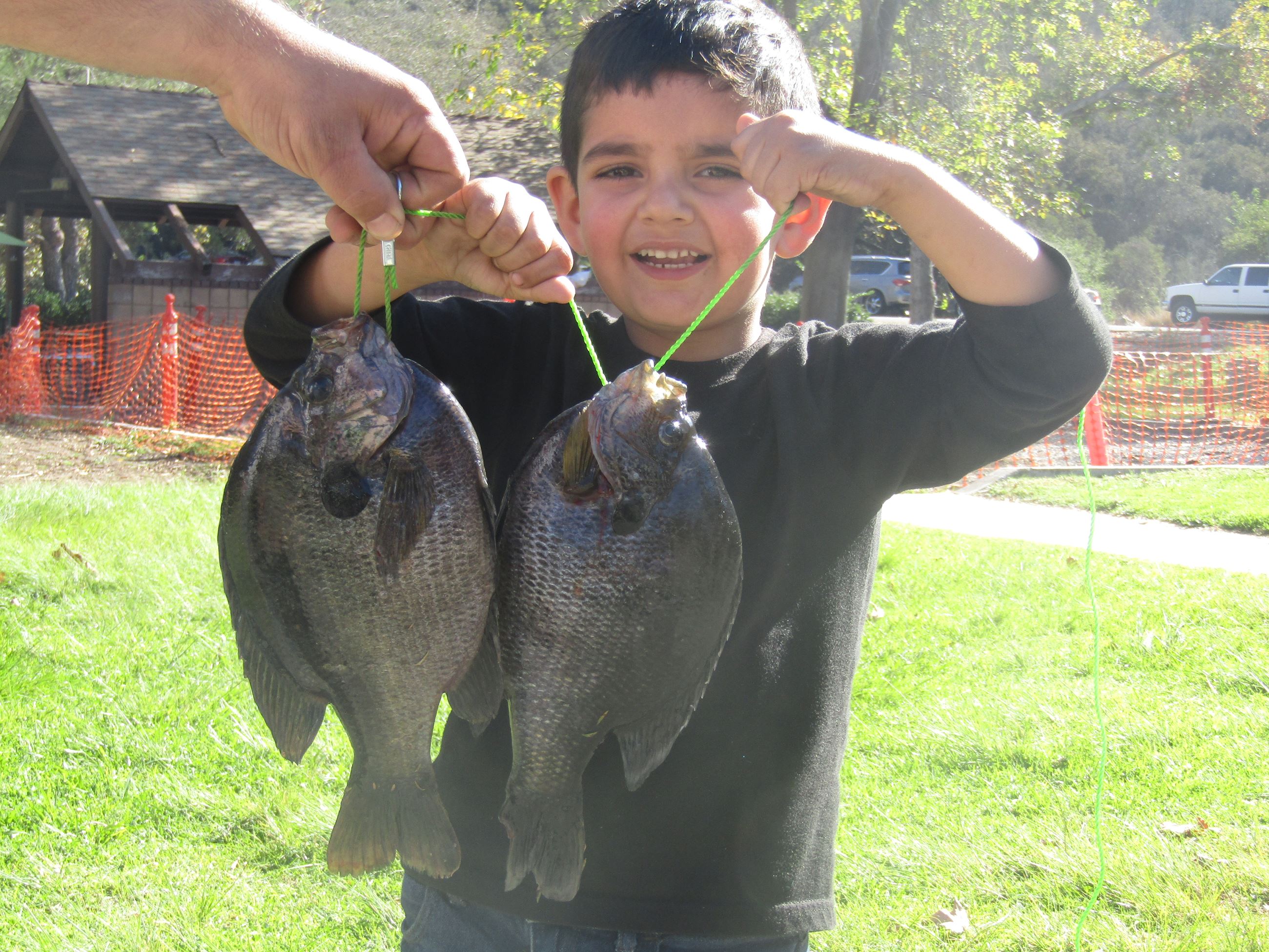 5 year old Nate Gushwa with a pair of Bluegills weighing in at 1 Pound 6 Ounces and 1 Pound 8 Ounces on nightcra
