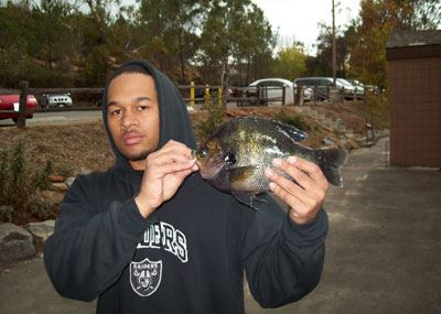 Johnny Kaczmarek of Escondido, 1 Pound 11 Ounces Bluegill on Nightcrawler by Pier 3