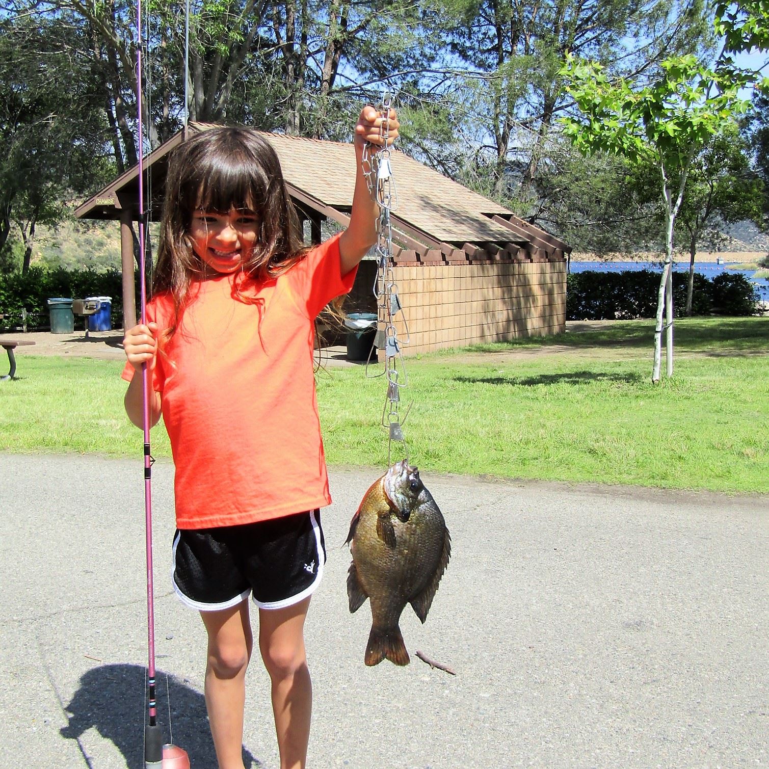 Desiree Ruppert with a 1 Pound 8 Ounces Bluegill caught on a meal worm off Pier 2 (1st fish ever) 4-13-17
