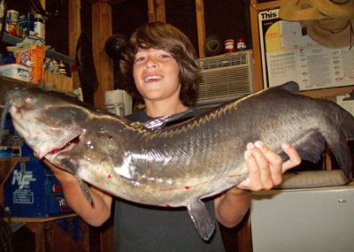Jed Dickerson Jr., 12 Pounds Catfish caught 8-25-11 on Cut Mackerel at Buoy Line