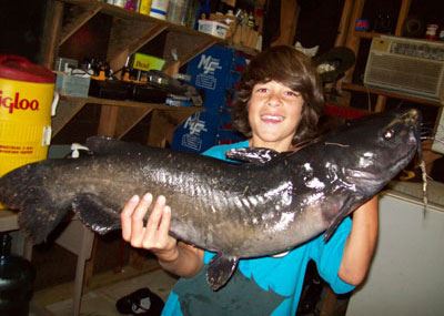 Jed Dickerson Jr., 17 Pounds Catfish caught 8-18-11 on Cut Mackerel