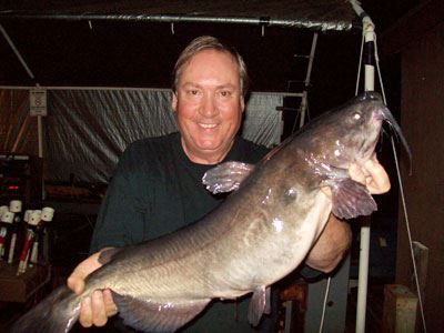Pat Martin of Vista, 9.45 Pounds Catfish caught on Cut Mackerel at unknown location