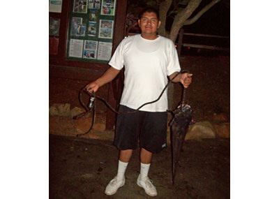 Arturo Padilla of Escondido, 12.02 Pounds Catfish caught on Cut Mackerel on South Shoreline