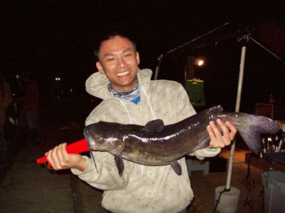 Duc Le of San Diego, 8.1 Pounds Catfish caught on Cut Mackerel from Catfish Cove