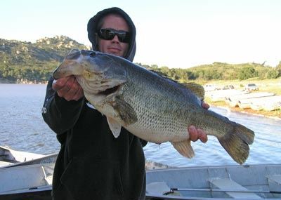 Ryan Block of Oceanside, 8.50 pound Bass caught and released 5-12-10 on Swimbait at West Buoy Line