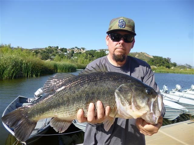 Sam Zepeda of Valley Center, 10.95 pound bass caught 5-18-16 using a plastic worm on Senior Shorelin