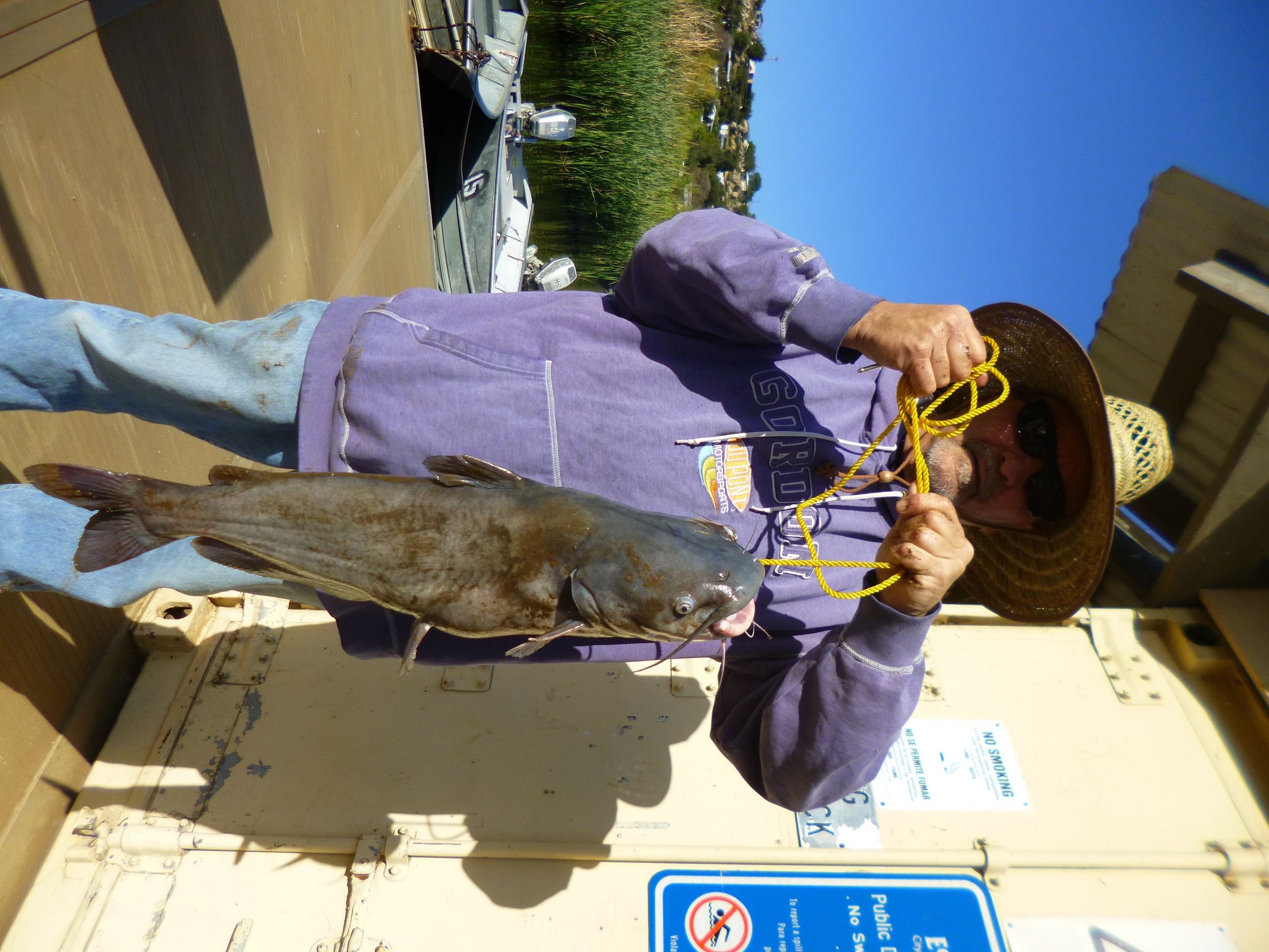 Wayne Berkeley of Rialto, 8.80 pound catfish caught 4-20-18 using powerbait on senior Shoreline.