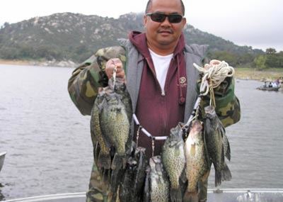 Vince Aghalo, Stringer of 25 Crappie caught 4-8-07