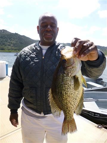 Wendell Jackson of Escondido, 2.35 pound Crappie caught 4-13-14 using a live golden shiner on Senior