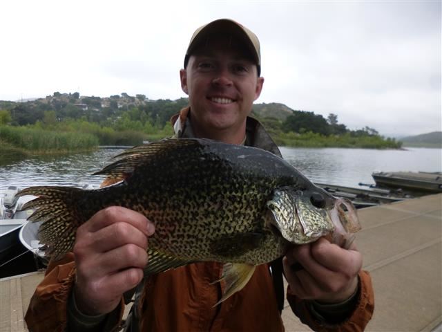 Will Lambuth of Oceanside, 2.00 pound crappie caught 5-6-17 using a golden shiner in the middle of t
