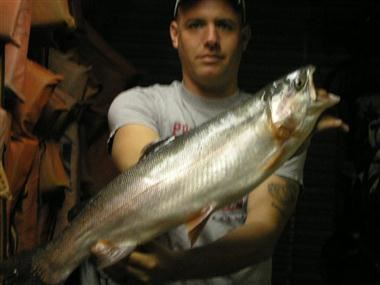 Dave Brachs of Oceanside, 9.40 pound Trout caught 4-4-12 on green powerbait at West Buoys