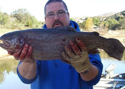 David Cox of San Marcos, 6.50 pound Rainbow Trout caught 1-11-08 on White Power Worm with Green Powe