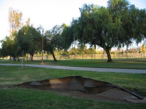 Eucalyptus Leaf Court - Christine Oatman (1991)