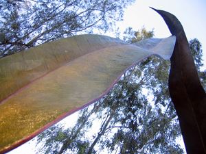 Eucalyptus Leaf Court