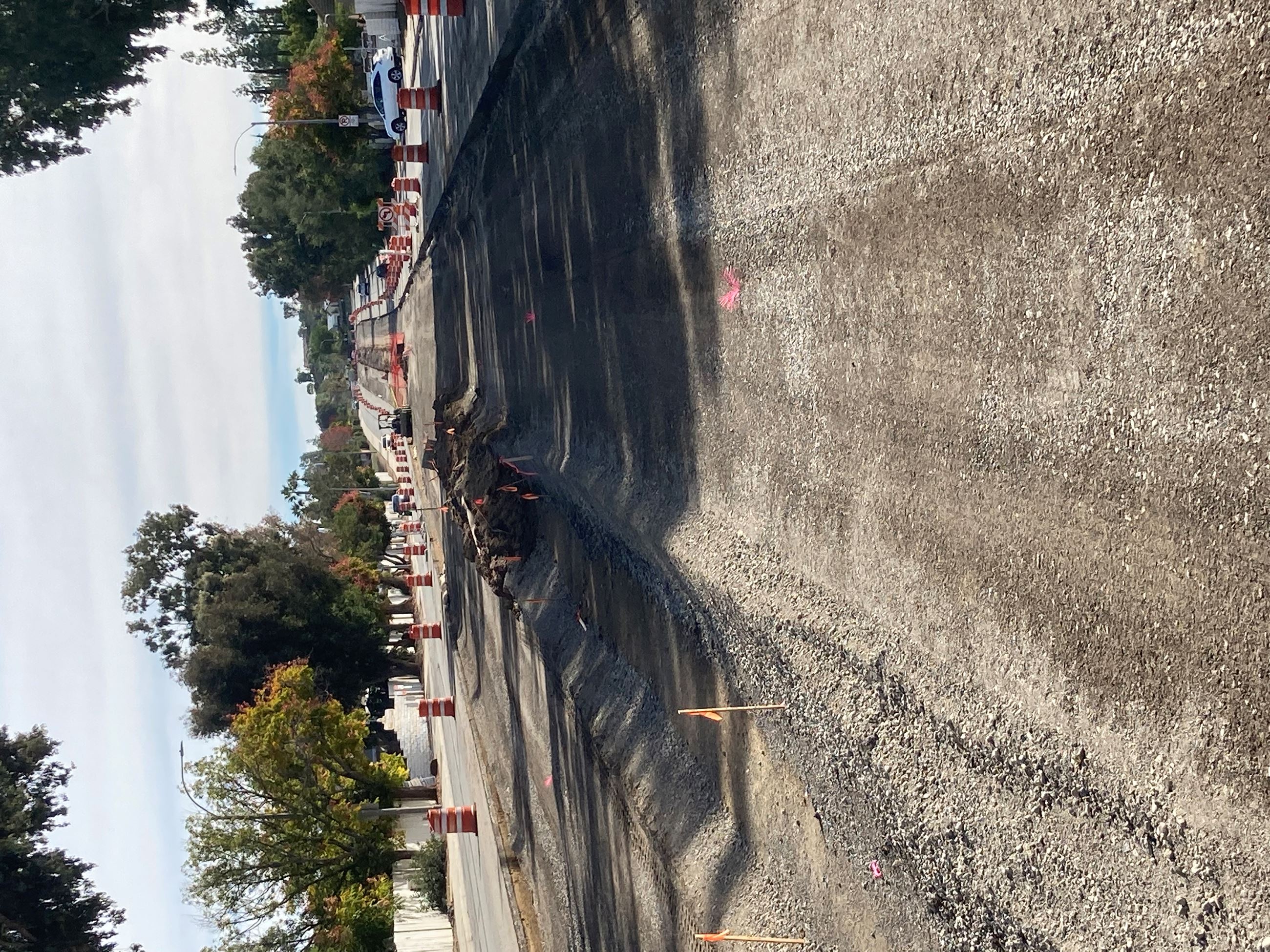 Citracado South Side Median